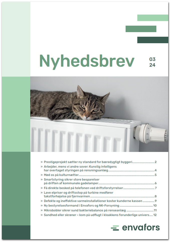 Billede af nyhedsbrev nr. 3 2024